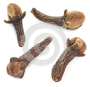 Fragrant clove buds isolated on white, set