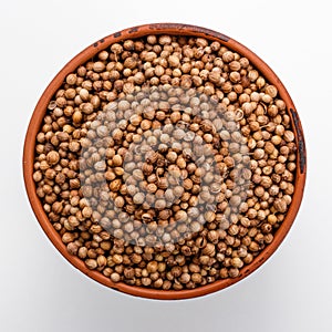 Fragrant coriander seeds on a white background