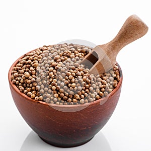 Fragrant coriander seeds on a white background