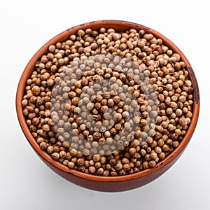 Fragrant coriander seeds on a white background