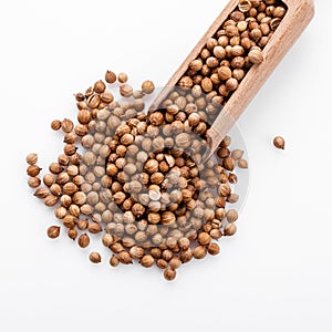 Fragrant coriander seeds on a white background