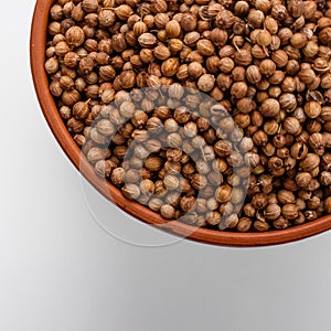 Fragrant coriander seeds on a white background