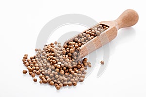 Fragrant coriander seeds on a white background