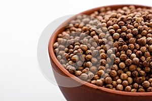 Fragrant coriander seeds on a white background