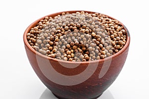 Fragrant coriander seeds on a white background