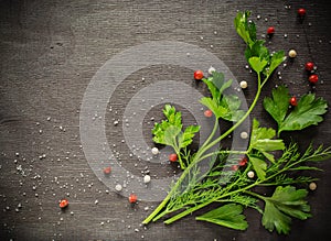 Fragrant fresh parsley and dill arranged on a diagonal dark background.