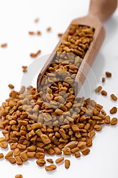 Fragrant grains of fenugreek on a white background