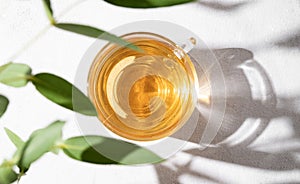 Fragrant herbal tea in a glass cup on a white background with eucalyptus branches and a hard shade. The concept of a healthy drink