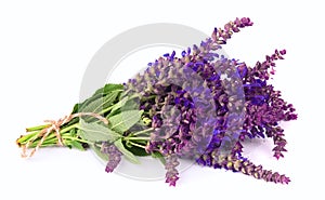 Fragrant lavender