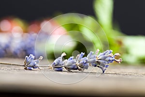 fragrant lavender near the food