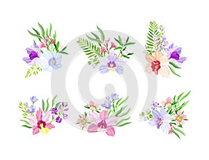 Fragrant Orchid Bloom with Labellum Arranged with Floral Branches Vector Set