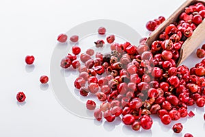 Fragrant pink peppercorns on white acrylic background
