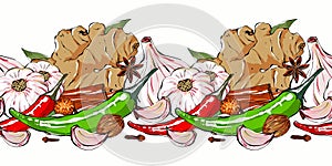 Fragrant spices. Hand drawn illustration of seamless border with garlic, chili pepper, ginger and aromatic herbs. Design