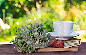 Fragrant tea with herbs in the garden. A cup of tea and thyme in the background of a summer garden.