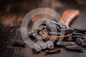 Fragrant tonka beans for baking and cooking