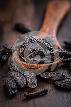 Fragrant tonka beans for baking and cooking