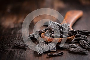 Fragrant tonka beans for baking and cooking photo