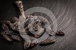 Fragrant tonka beans for baking and cooking