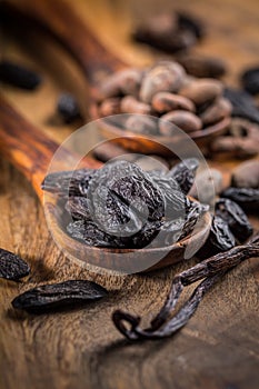 Fragrant tonka and cocoa beans with vanilla beans for baking and cooking