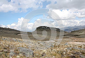Frailejones, stone mountain and Andes Mountains on Sumapaz Paramo