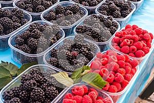 Bowls with raspberries on the stalls of Dubrovnik photo