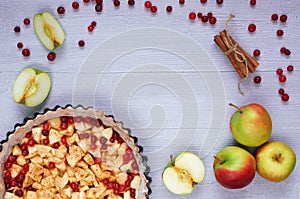 Frame of apple tart in the baking dish, fresh apples, cranberry, spices, cinnamon sticks with copy space on the gray kitchen table