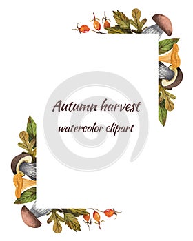 frame with autumn harvest