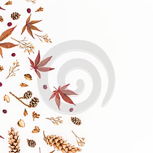 Frame of autumn leaves, dried flowers and pine cones isolated on white background. Flat lay, top view, copy space.