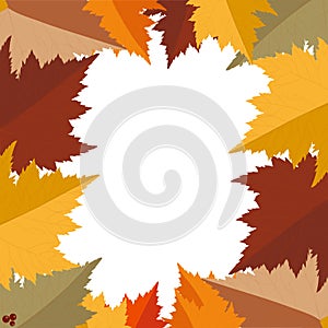 Frame of autumn leaves on a white background. Vector illustration