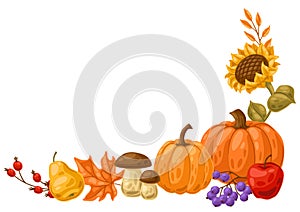 Frame with autumn plants. Harvest illustration of vegetables and leaves.