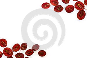 Frame of autumnal red leaves with natural pattern of yellow spots on a white background with space for text. Top view, flat lay