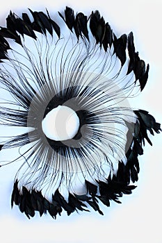 Frame of black feathers on a white background. Emo style frame made of boa feather scarf isolated on white. exotic soft beautifu