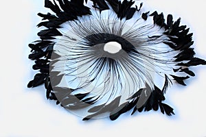 Frame of black feathers on a white background. Emo style frame made of boa feather scarf isolated on white. exotic soft beautifu