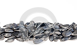 Frame Black Sunflower seeds isolated on white