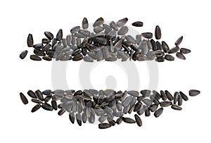 Frame of black sunflower seeds isolated on white