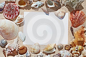 Frame blank space made of colorful beautiful natural seashells on sand background on sea side shore