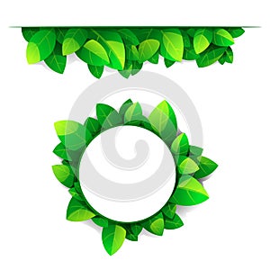 Frame and border of green leaves photo