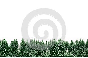 Pino árboles Bosque de verde abetos cubierto de acuerdo a fresco la nieve durante tiempo de Navidad cómo ancho marco fronteras 