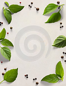 A frame border italian cooking background old parchment with fresh mediterranean herbs leaves allspice basil