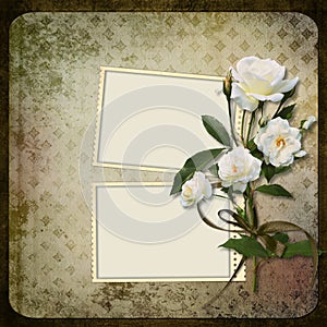 Frame with a branch of roses on a vintage background