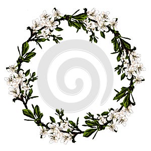 Frame of the branches of the Apple tree sketch vector