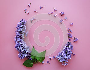 Frame of branches and flowers of lilac in the shape of a cicle