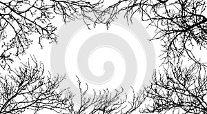 Frame from branches tree, silhouette of branches different trees. Vector illustration. Applied clipping mask