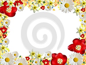 frame of bright flowers