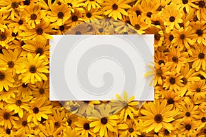 Frame of bright and warm yellow summer flowers with blank white postcard for text