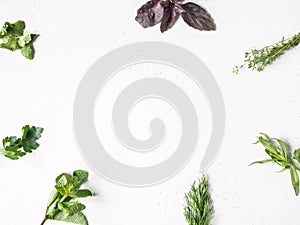 Frame of bunches of fresh raw herbs - tarragon, thyme, dill, cilantro, parsley and purple basil on textured background. Top view.