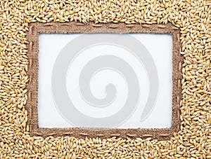 Frame of burlap and barley in beans