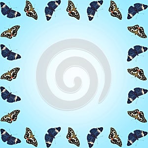 Frame of butterflies with copy space on blue gradient background