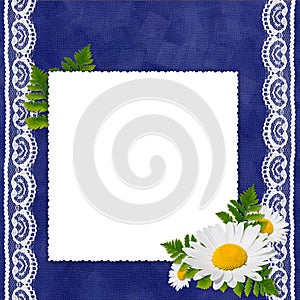 Frame with camomile on the darkblue background