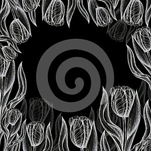 Frame Tulips pattern isolated black background